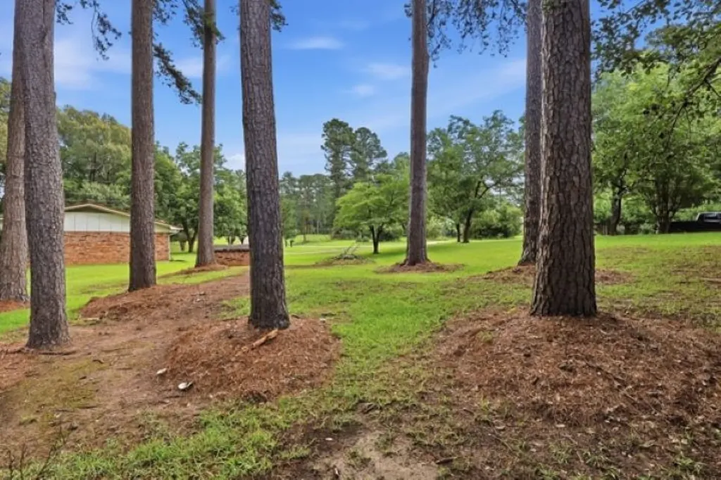 100 County Road 1123 Daingerfield TX 75638
