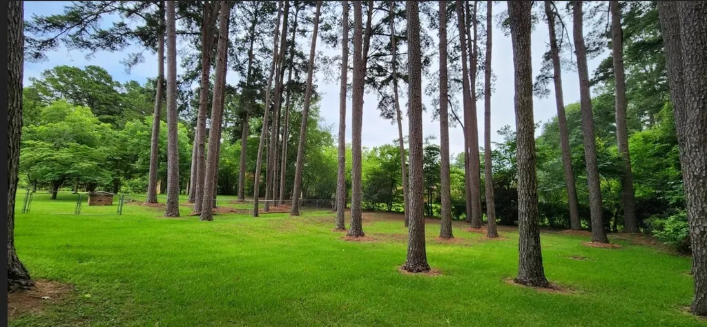 100 County Road 1123 Daingerfield TX 75638