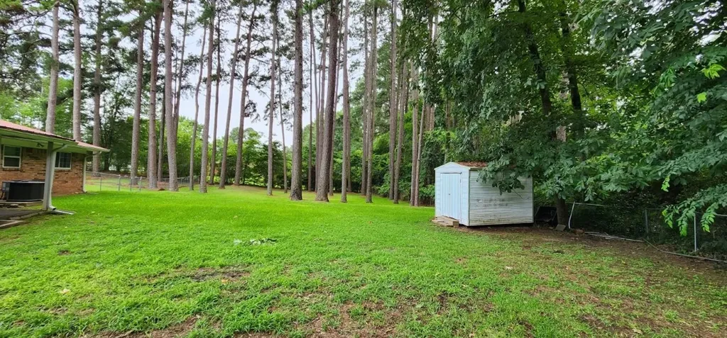 100 County Road 1123 Daingerfield TX 75638