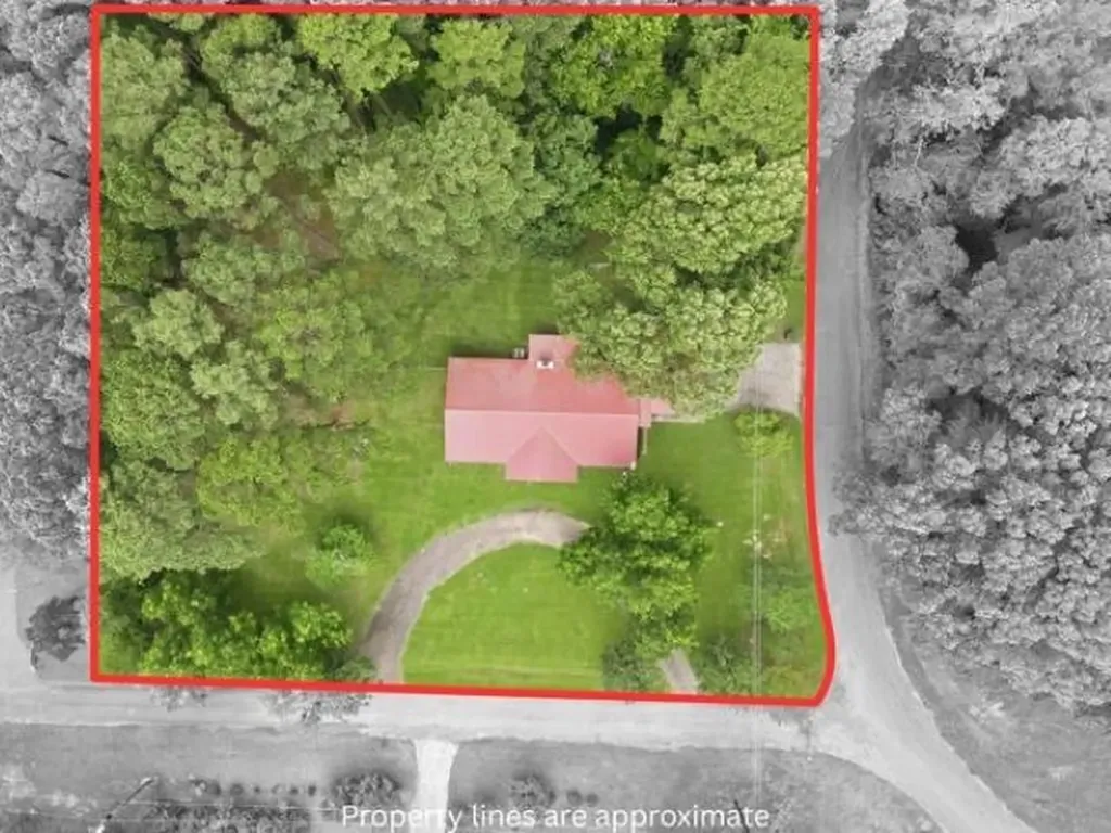 100 County Road 1123 Daingerfield TX 75638