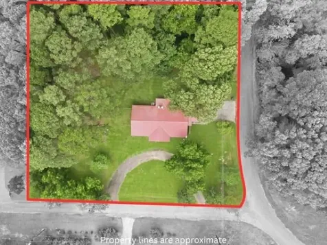 100 County Road 1123 Daingerfield TX 75638