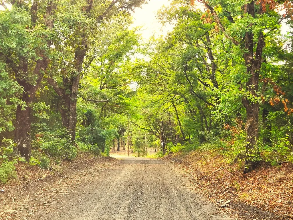 Lot 465 Cr-4710 Larue TX 75770