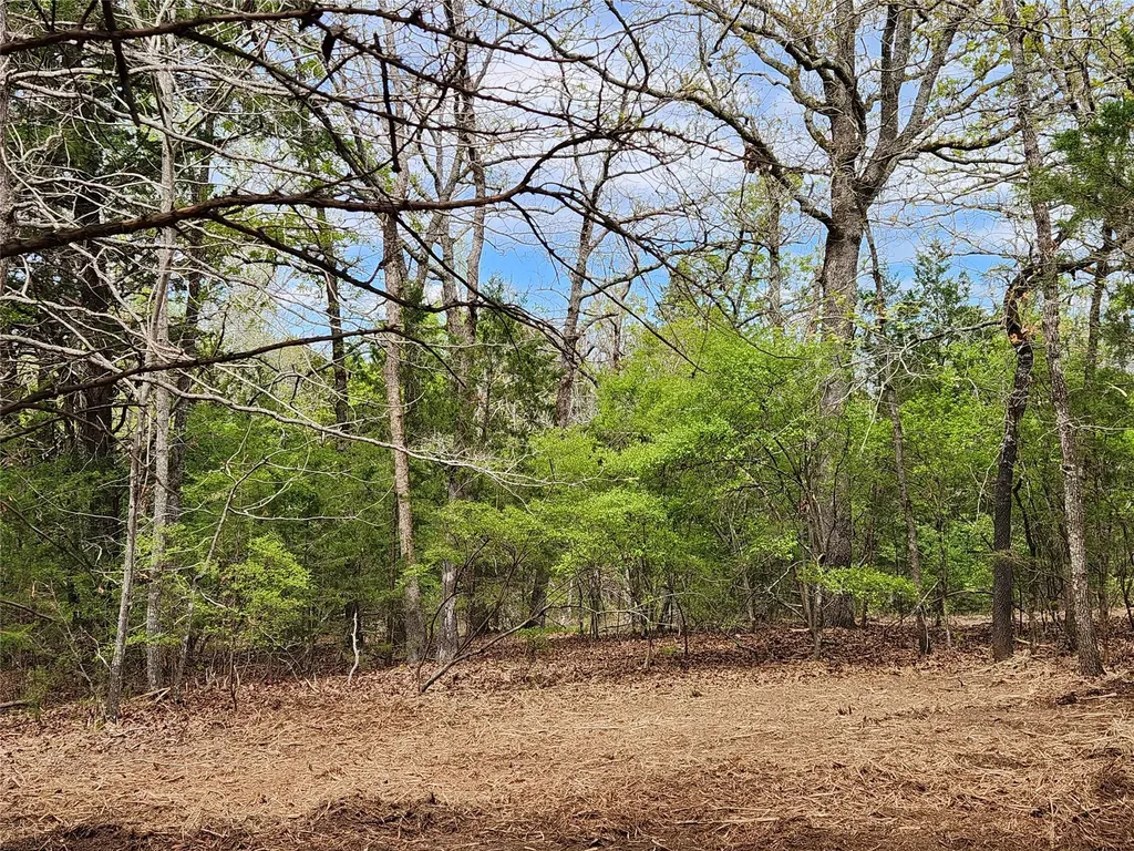 Lot 465 Cr-4710 Larue TX 75770
