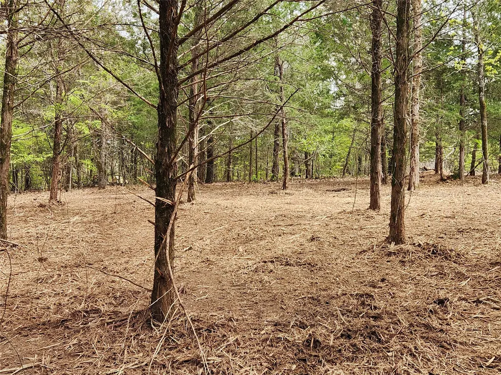 Lot 465 Cr-4710 Larue TX 75770