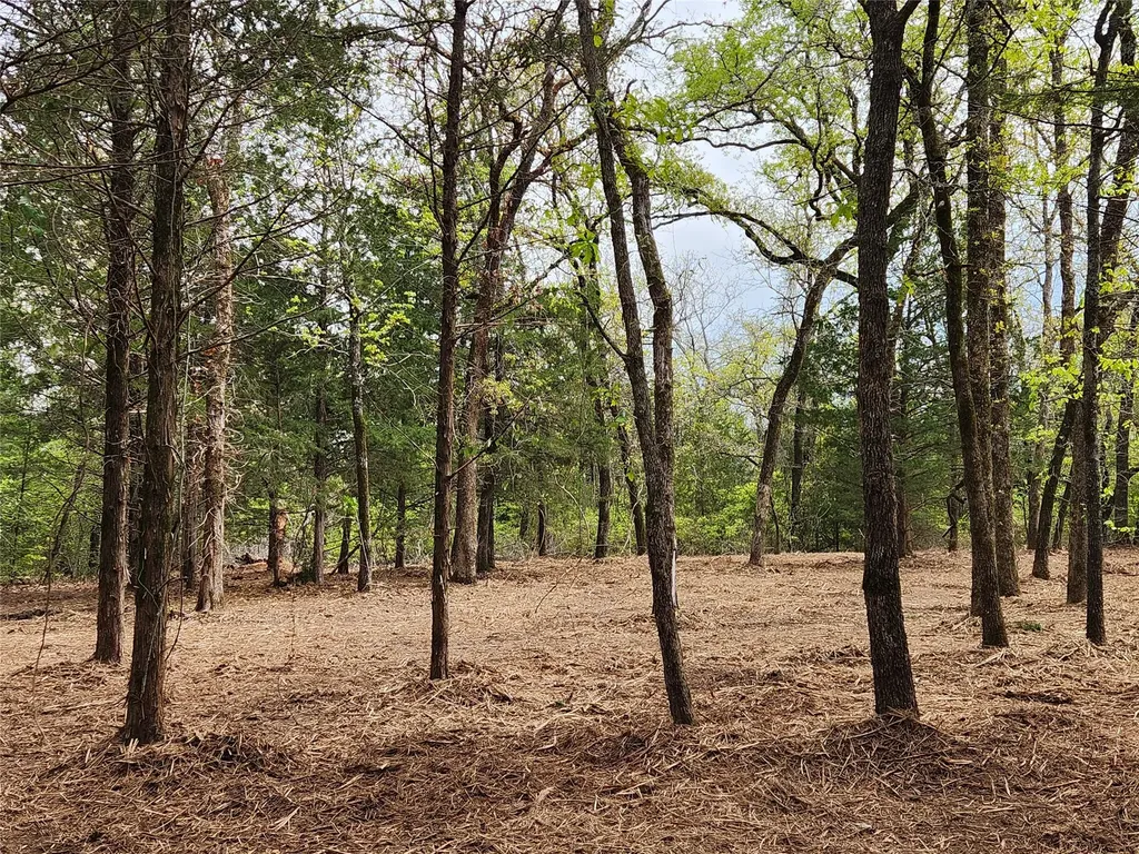 Lot 465 Cr-4710 Larue TX 75770