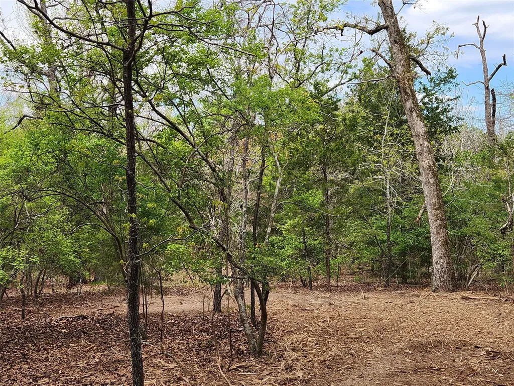 Lot 465 Cr-4710 Larue TX 75770