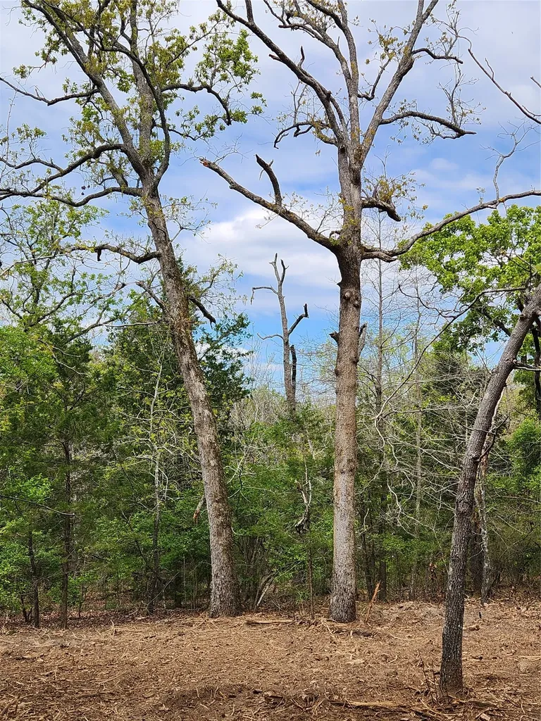 Lot 465 Cr-4710 Larue TX 75770