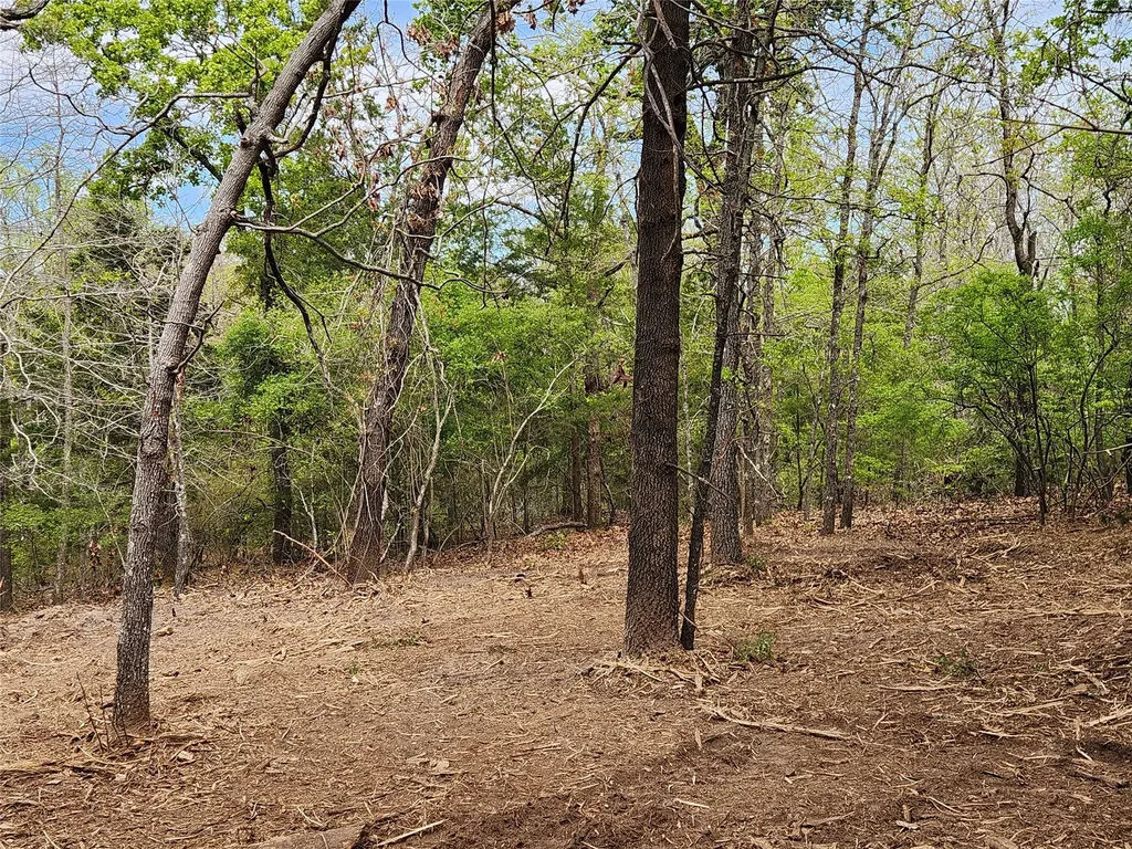 Lot 465 Cr-4710 Larue TX 75770