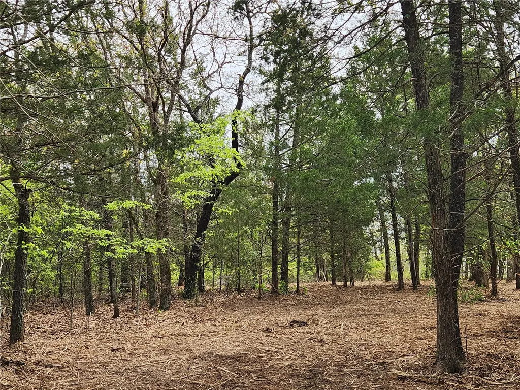 Lot 465 Cr-4710 Larue TX 75770