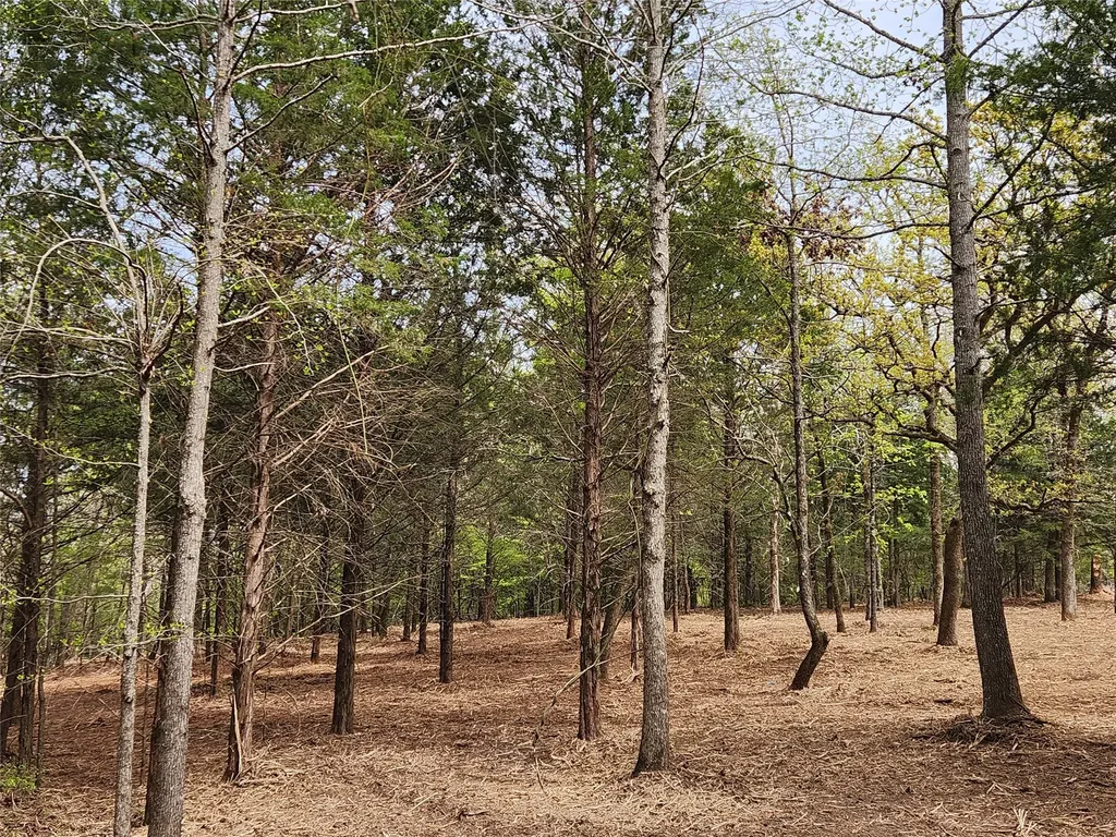 Lot 465 Cr-4710 Larue TX 75770