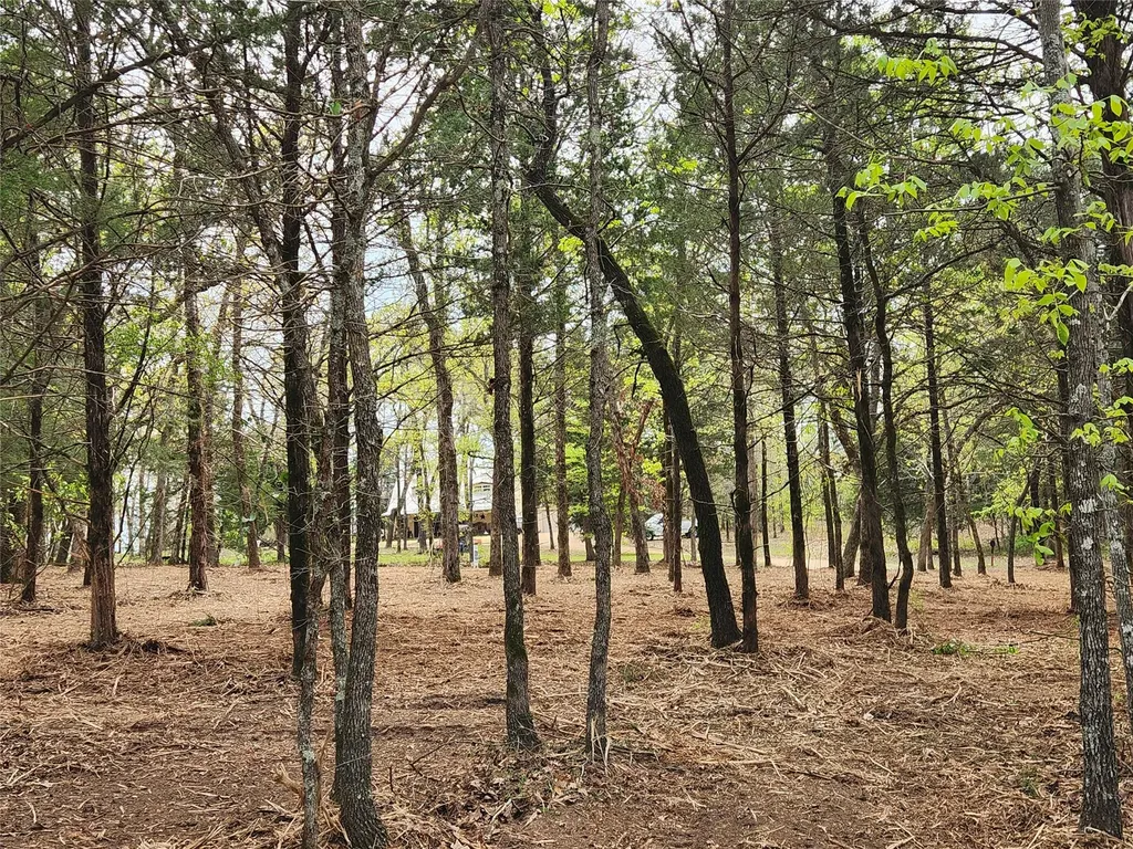 Lot 465 Cr-4710 Larue TX 75770