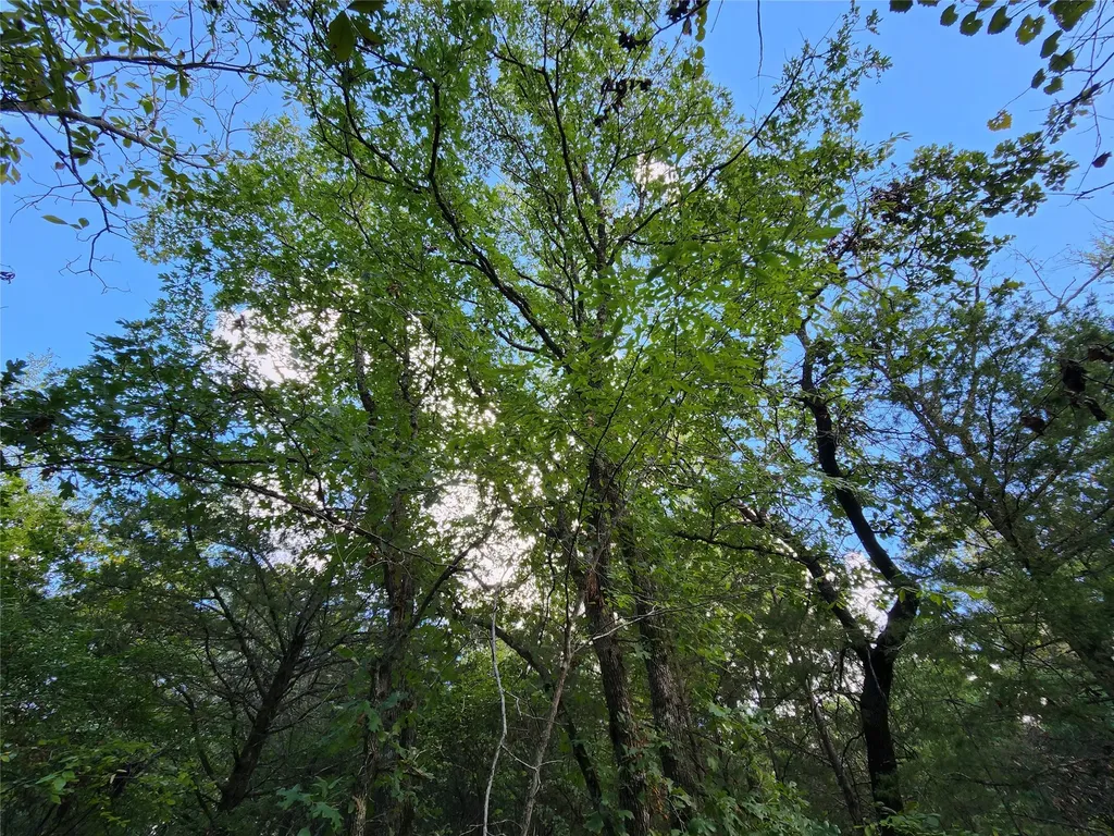 Lot 465 Cr-4710 Larue TX 75770