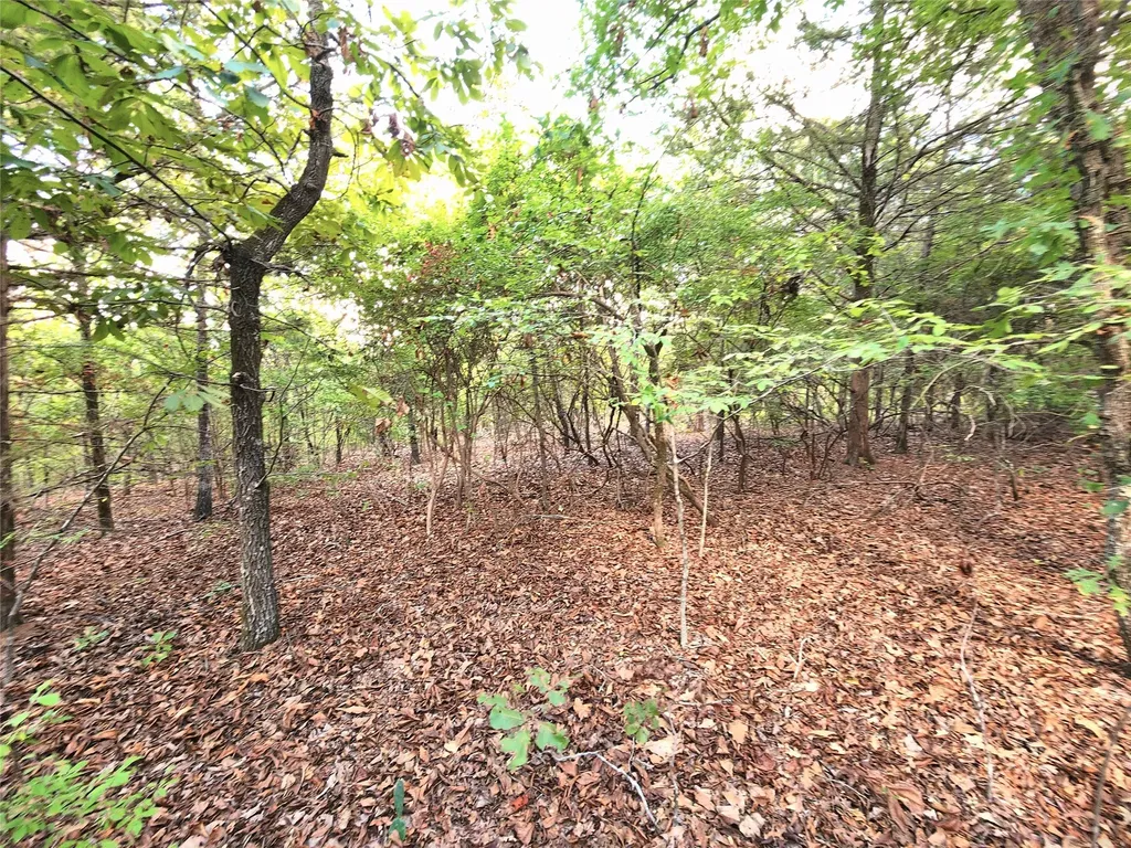 Lot 465 Cr-4710 Larue TX 75770