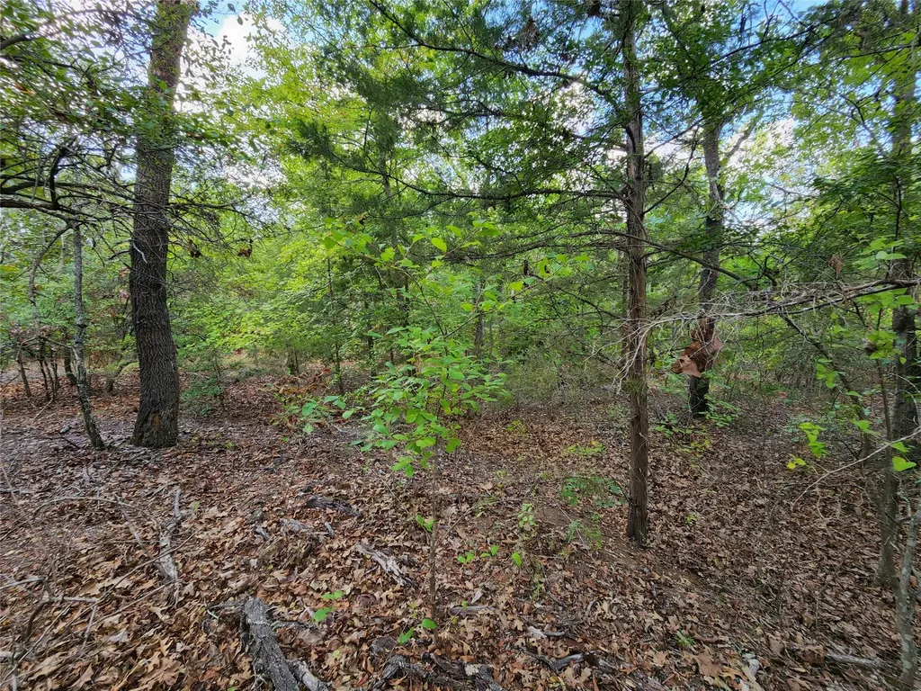 Lot 465 Cr-4710 Larue TX 75770