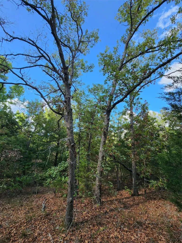 Lot 465 Cr-4710 Larue TX 75770