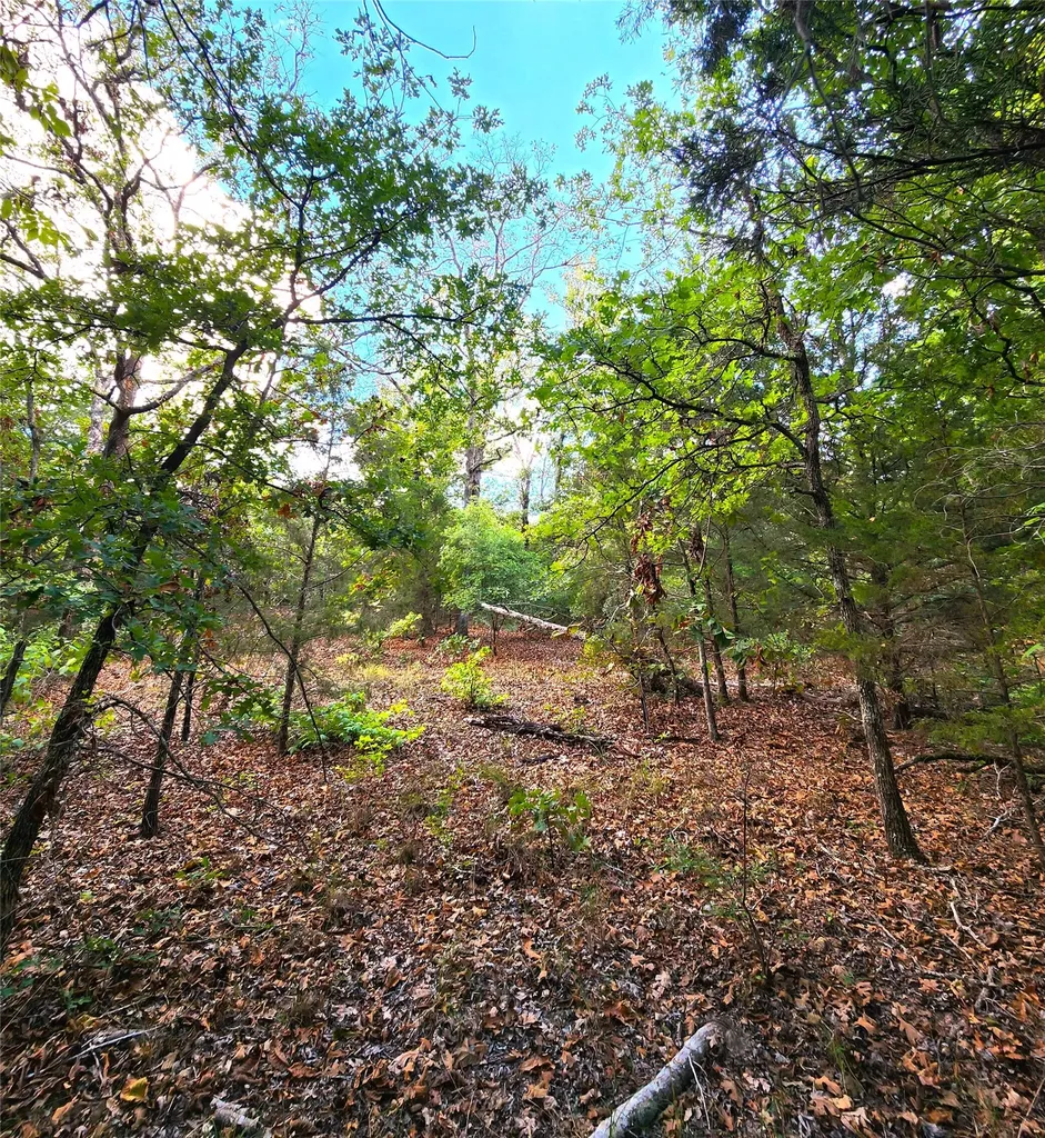 Lot 465 Cr-4710 Larue TX 75770