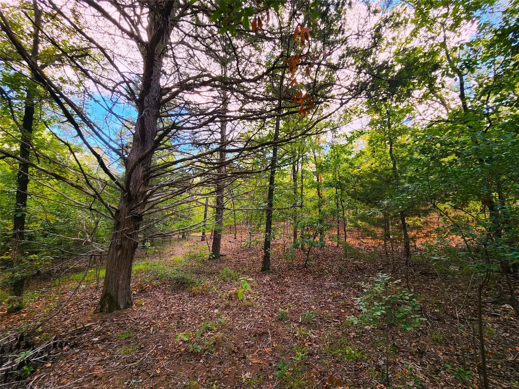 Lot 465 Cr-4710 Larue TX 75770