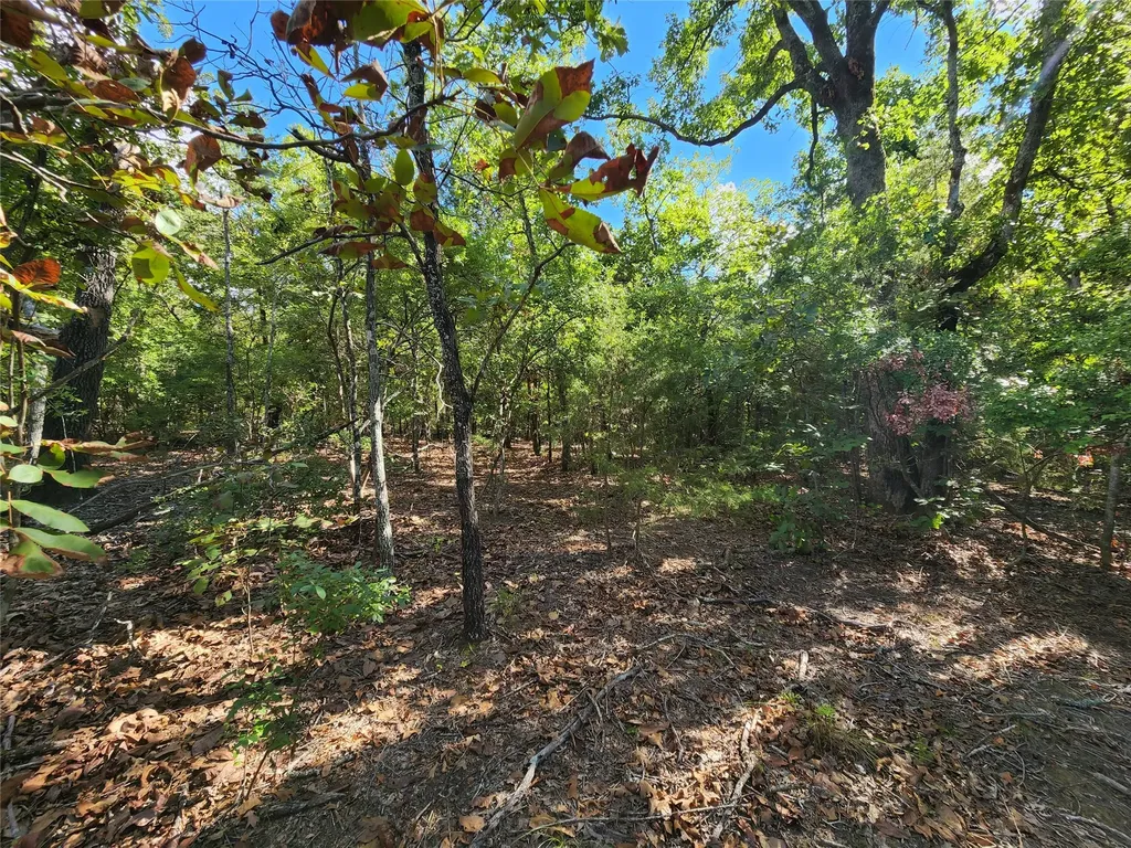 Lot 465 Cr-4710 Larue TX 75770