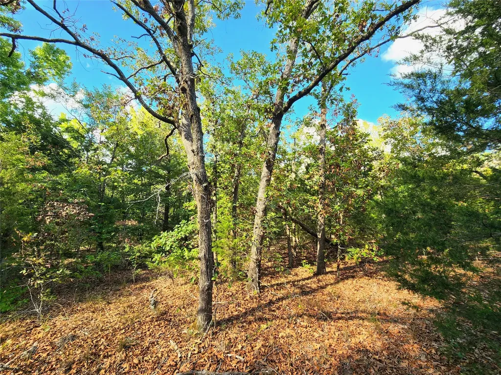 Lot 465 Cr-4710 Larue TX 75770
