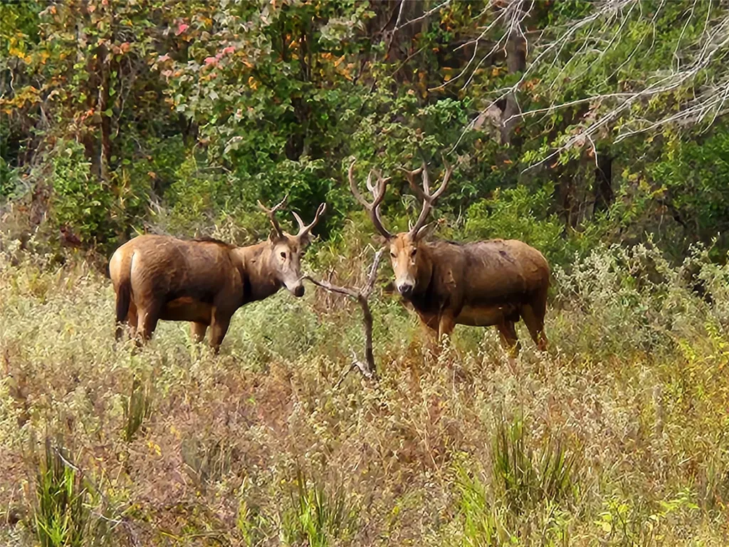 Lot 465 Cr-4710 Larue TX 75770