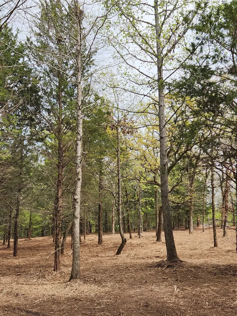 Lot 465 Cr-4710 Larue TX 75770