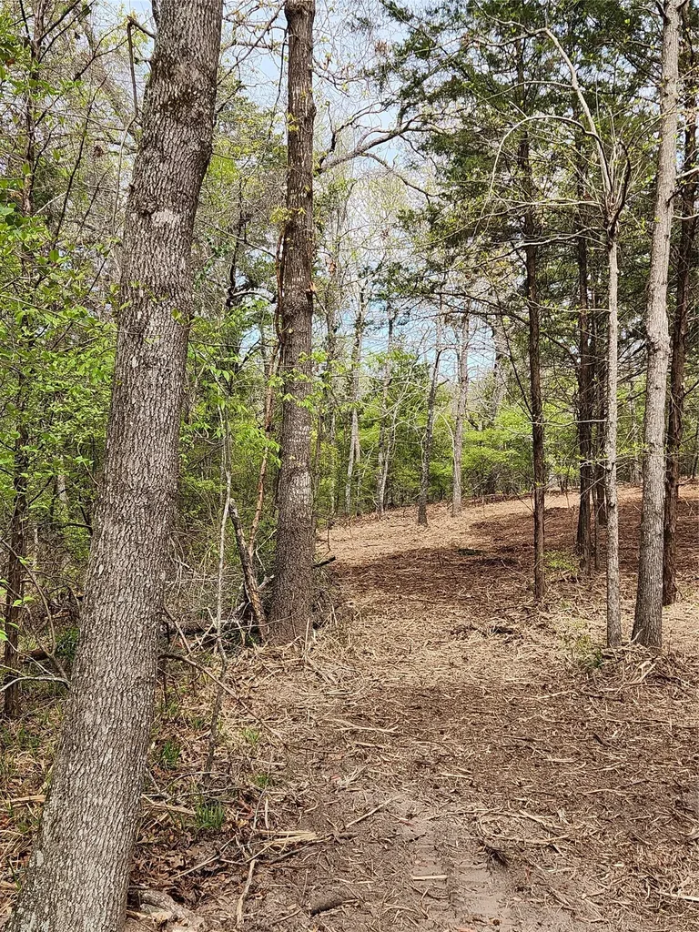 Lot 465 Cr-4710 Larue TX 75770