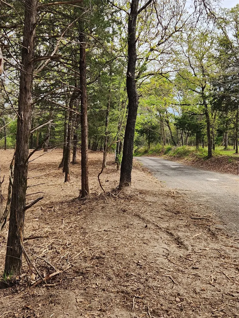 Lot 465 Cr-4710 Larue TX 75770