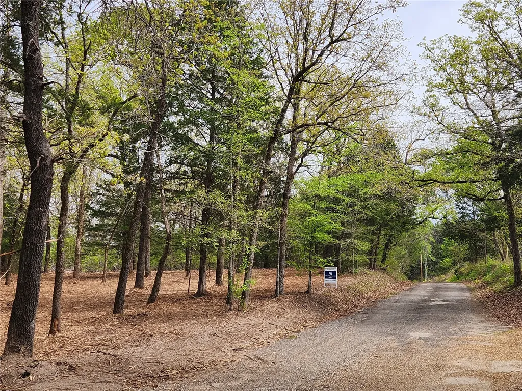 Lot 465 Cr-4710 Larue TX 75770