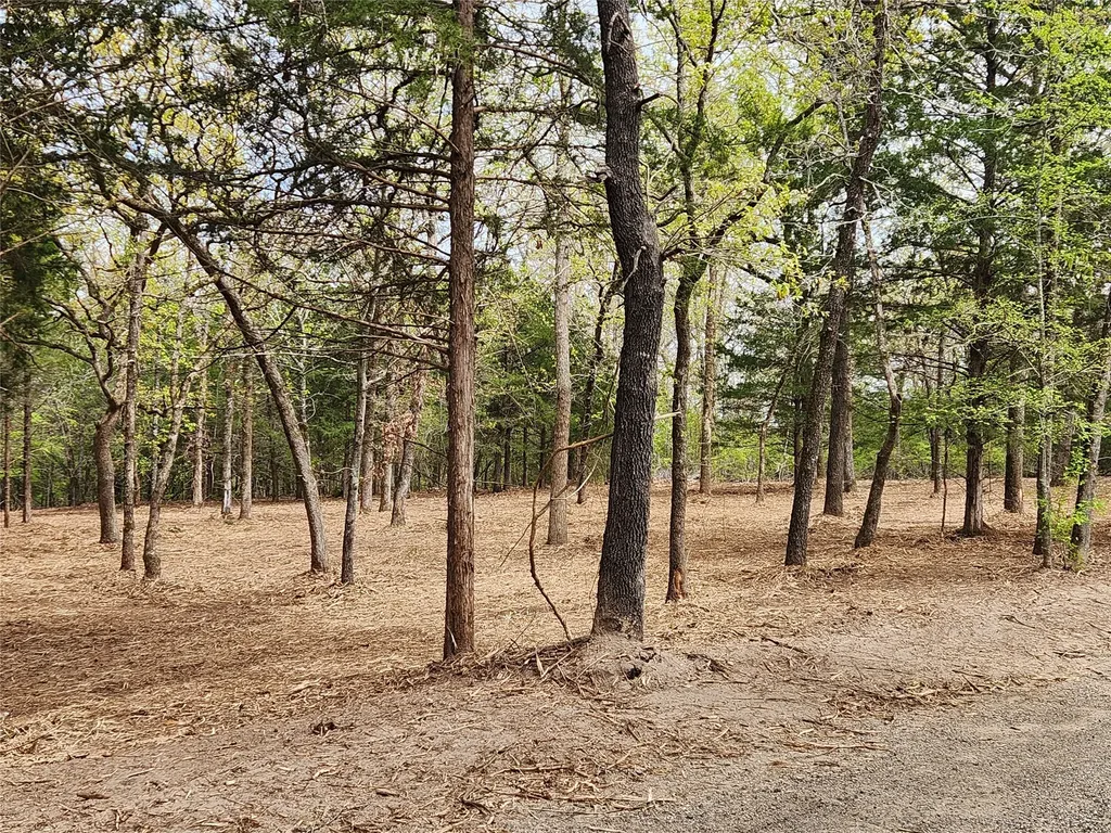 Lot 465 Cr-4710 Larue TX 75770
