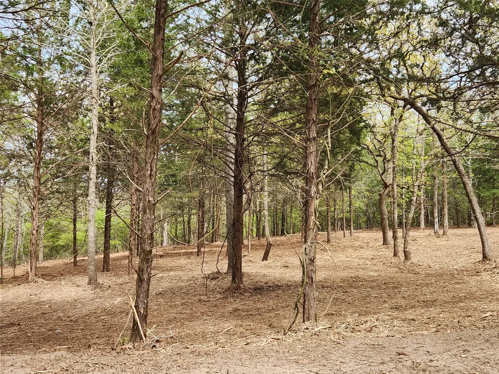 Lot 465 Cr-4710 Larue TX 75770