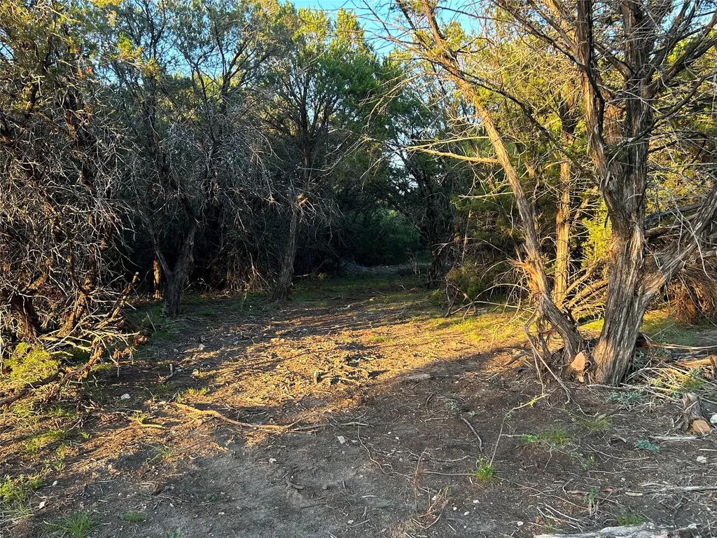 125 County Road 403 Goldthwaite TX 76844
