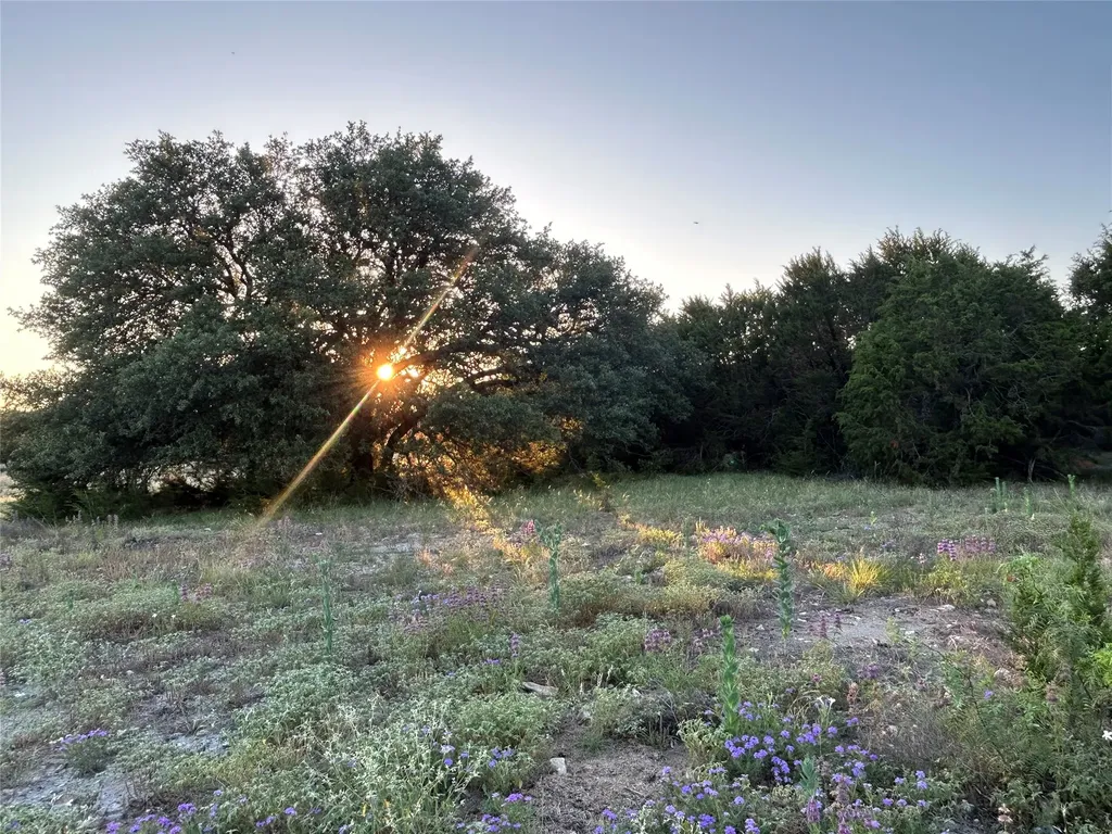 125 County Road 403 Goldthwaite TX 76844