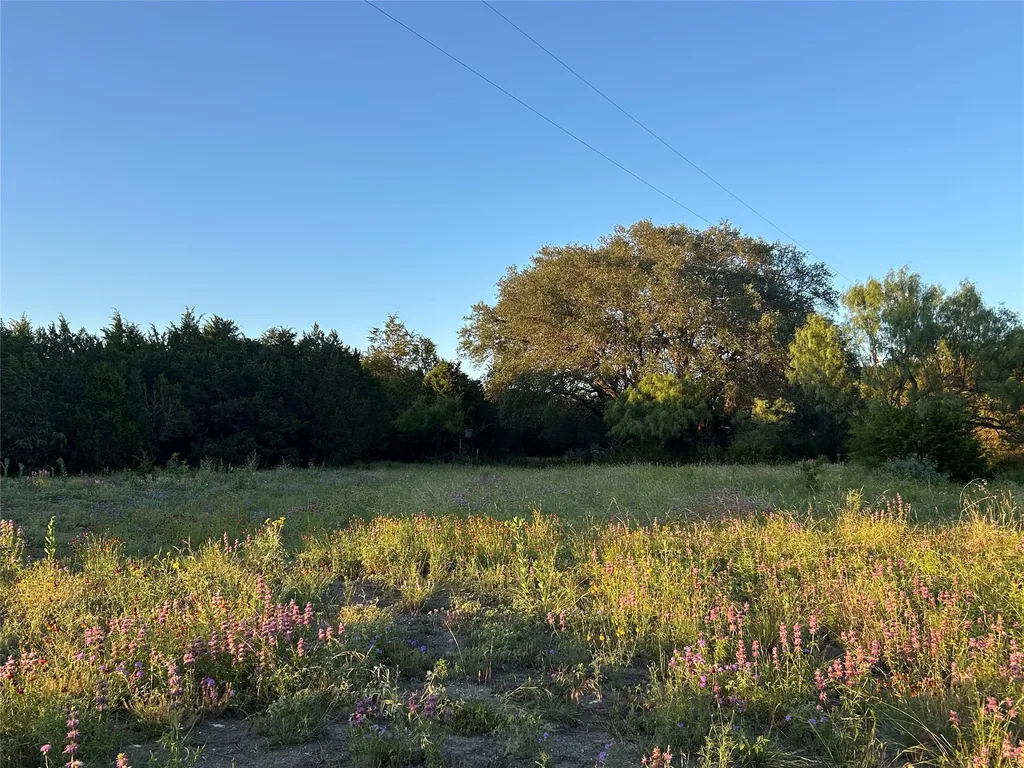 125 County Road 403 Goldthwaite TX 76844