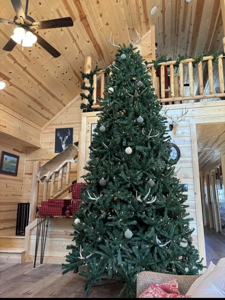 125 County Road 403 Goldthwaite TX 76844