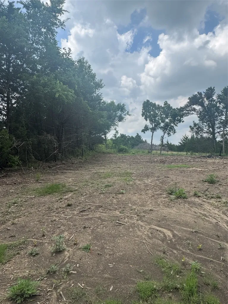 Tbd Burke Road Gunter TX 75058