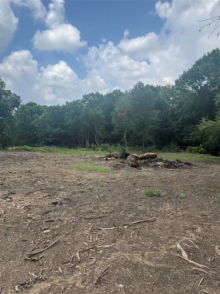 Tbd Burke Road Gunter TX 75058