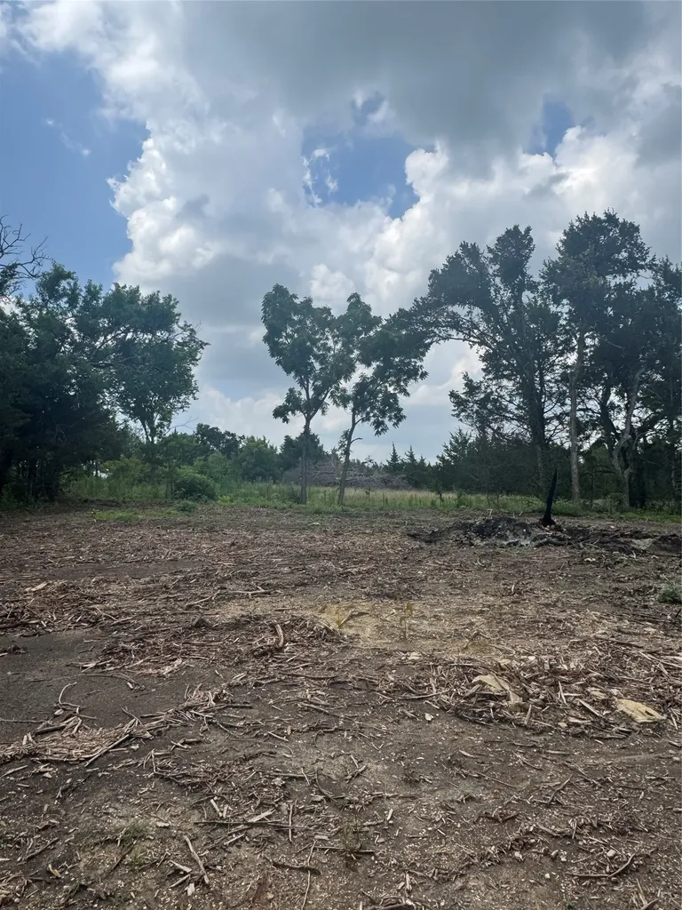 Tbd Burke Road Gunter TX 75058