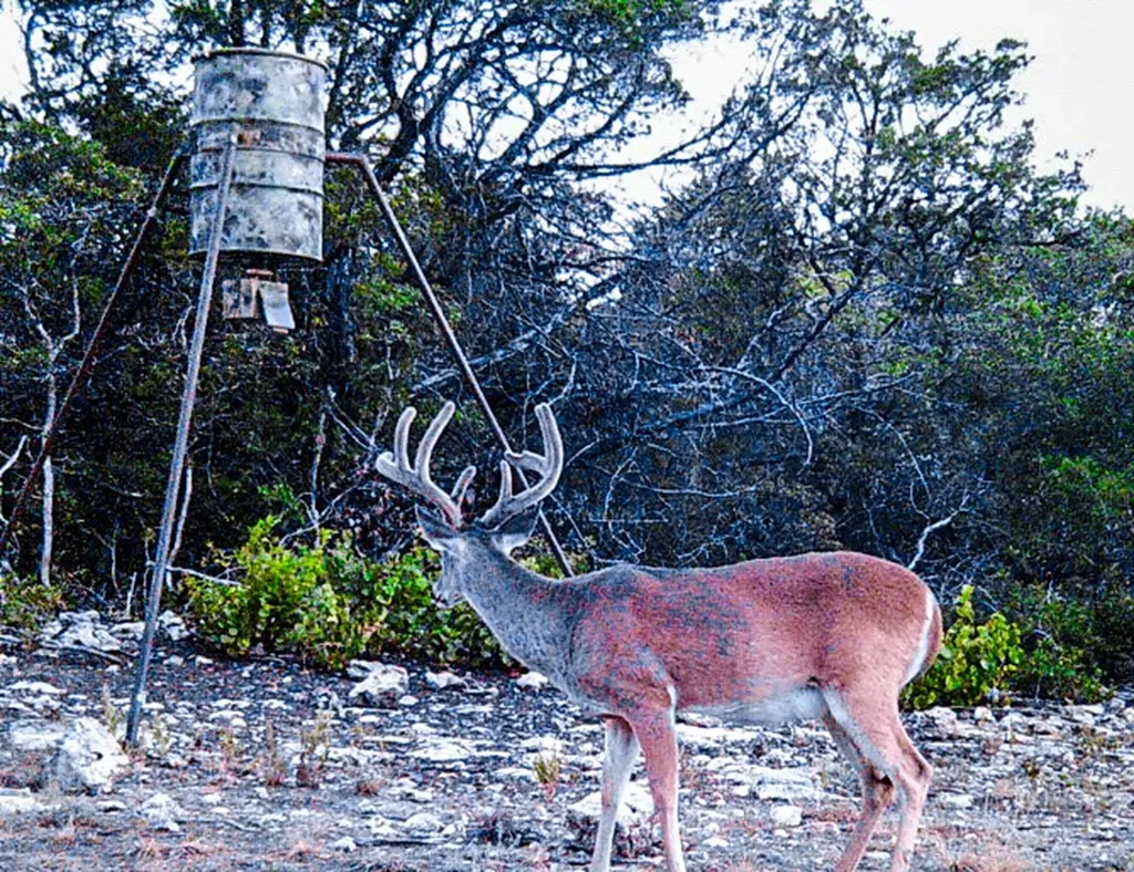 Unk Private Road Iredell TX 76649
