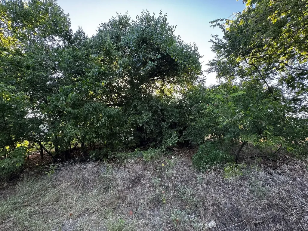 4287 Belz Road Sanger TX 76266