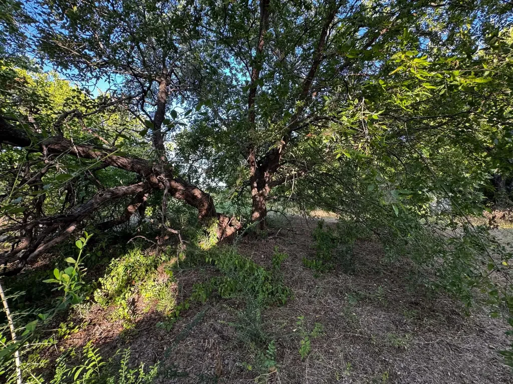 4287 Belz Road Sanger TX 76266