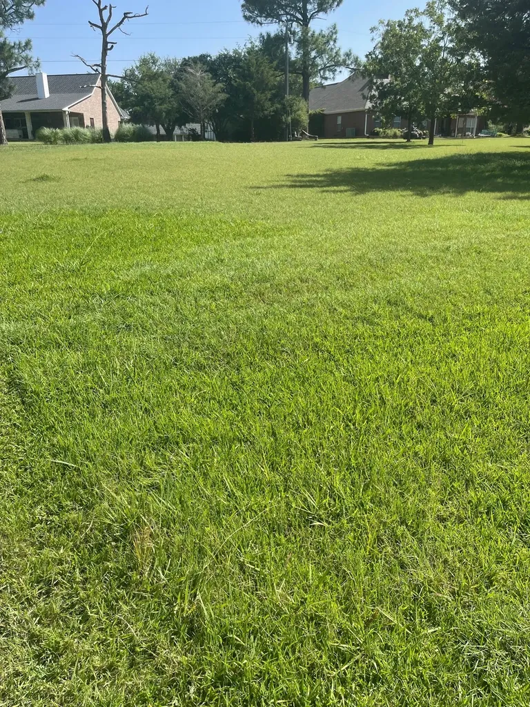 Tbd Randall Terrace Road Denison TX 75020