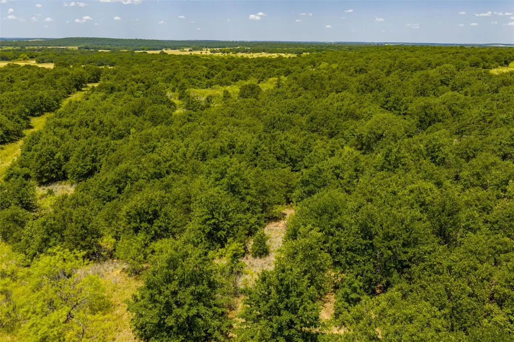 Tbd 59 Highway Bowie TX 76230