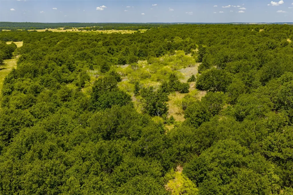 Tbd 59 Highway Bowie TX 76230