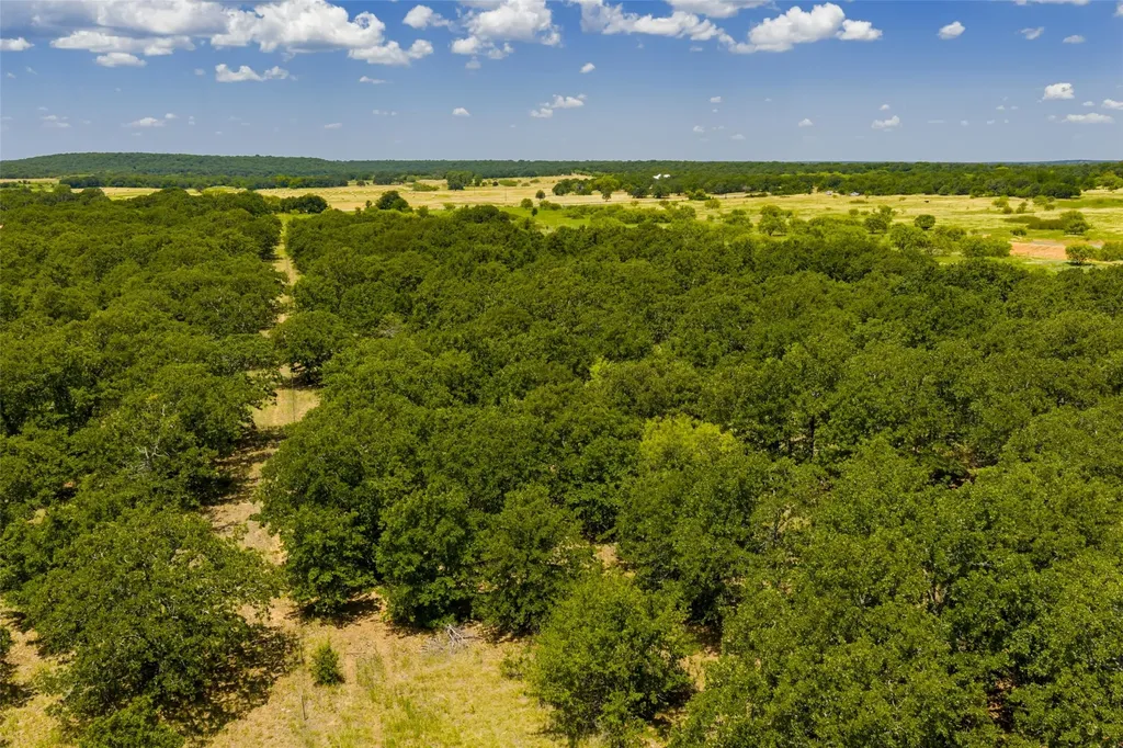 Tbd 59 Highway Bowie TX 76230