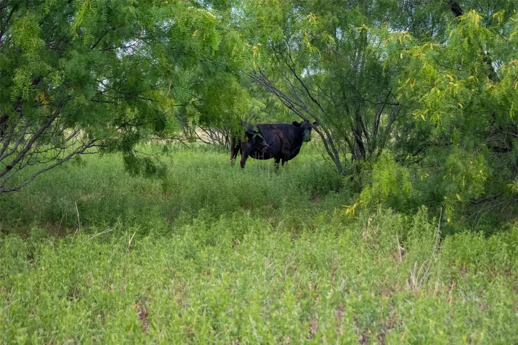 Tbd 59 Highway Bowie TX 76230
