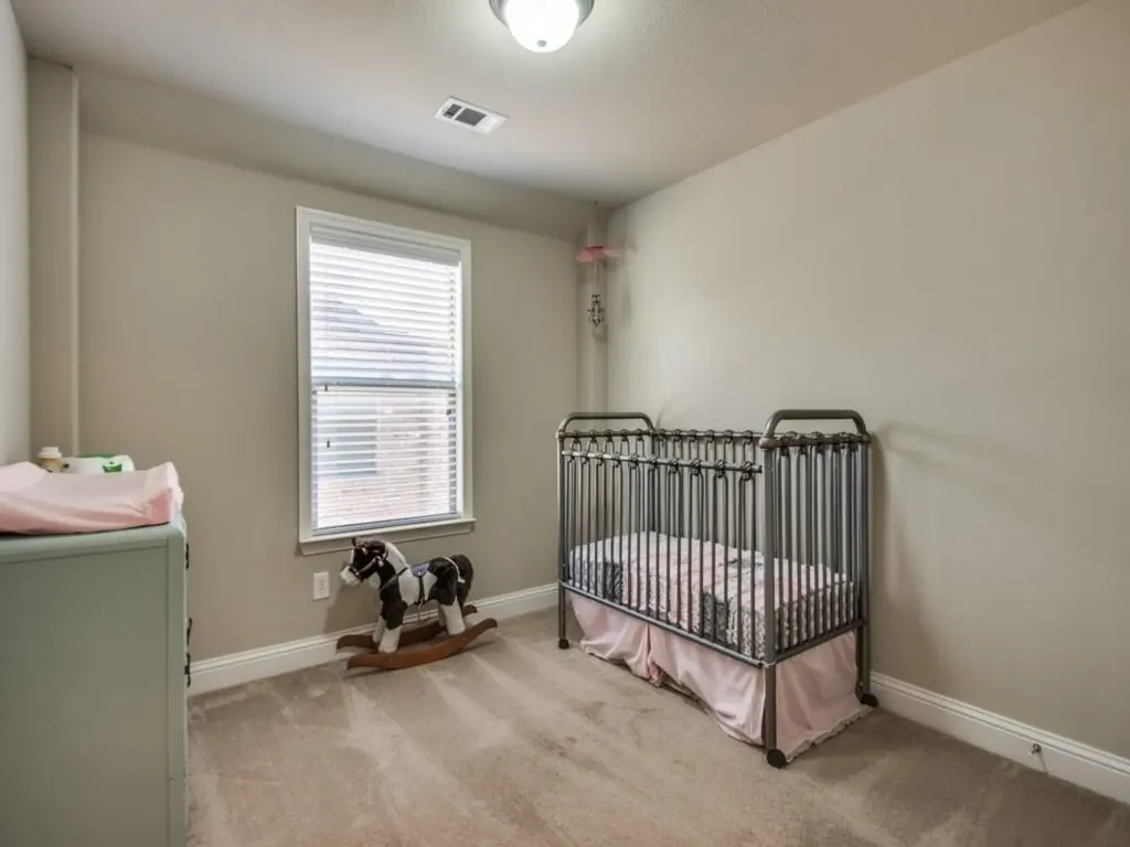 144 Mill Street Anna TX 75409