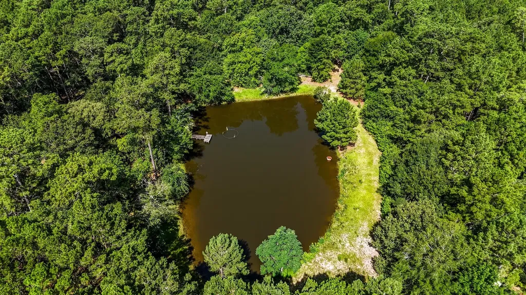 19359 Forest Road 219 Richards TX 77873