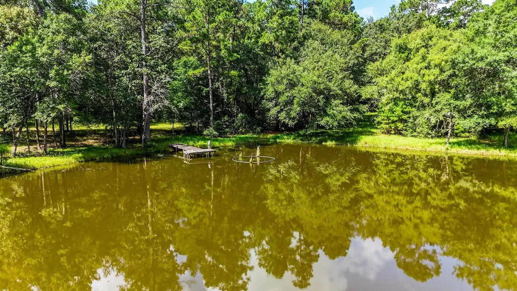 19359 Forest Road 219 Richards TX 77873