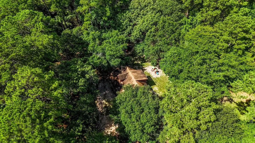 19359 Forest Road 219 Richards TX 77873