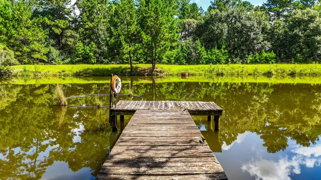 19359 Forest Road 219 Richards TX 77873
